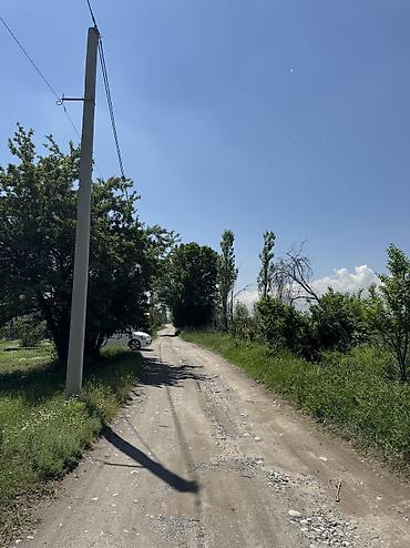 бир: 5 соток, Курулуш, Кызыл китеп — 4