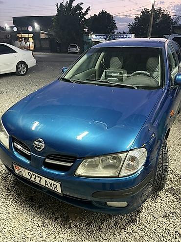 сетка грохот: Nissan Almera: 2001 г., 1.8 л, Автомат, Бензин, Седан — 1