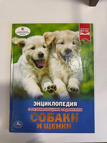 джек расыл: Энциклопедия «Собаки и щенки» - Ярко иллюстрированная детская — 2