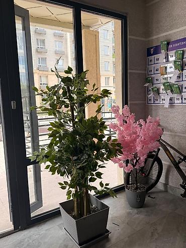 Продажа квартир: Студия, 51 м², Тунгуч мкр Элитка, 11 этаж, Дизайнерский ремонт — 10