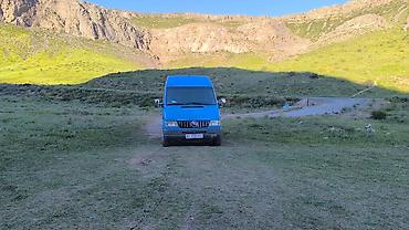 daf даф: Легкий грузовик, Mercedes-Benz, Стандарт, 3 т, Б/у — 1