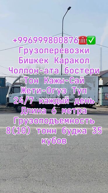орхидея цена в горшке бишкек: Гигант грузотакси Грузоперевозки доставим ваш груз быстро целости