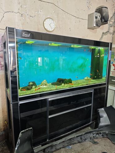 Akvariumlar: Akvarium-şkaf, Balıqlarla birlikdə, 1300 l