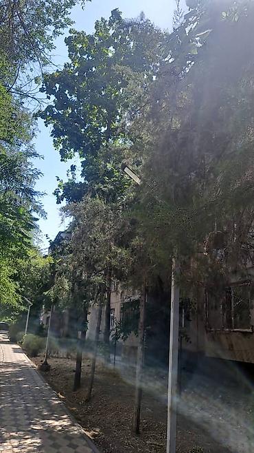 Продажа квартир: 2 комнаты, 45 м², 104 серия, 1 этаж, Старый ремонт — 2