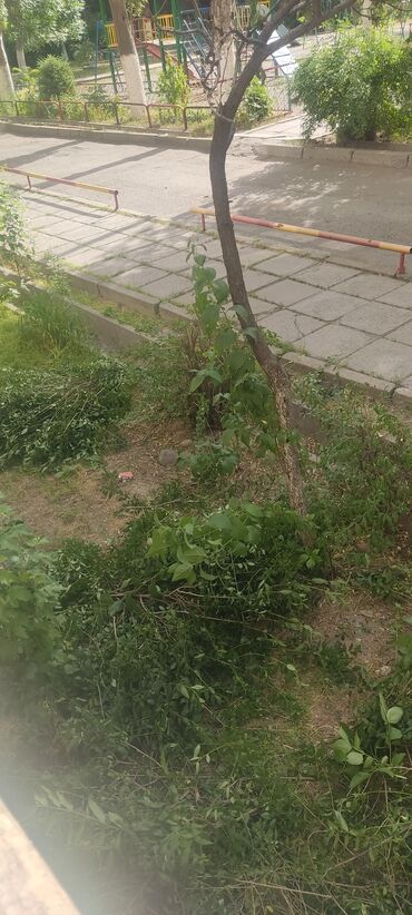 работа по хозяйству: Требуется Домработница, График: Гибкий график, Неполный рабочий день, Оплата Сдельная