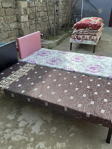 Kravat taza — 1