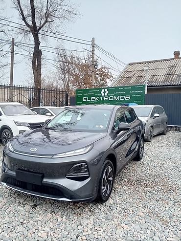 BYD: BYD : 2026 г., Электромобиль, Кроссовер — 10