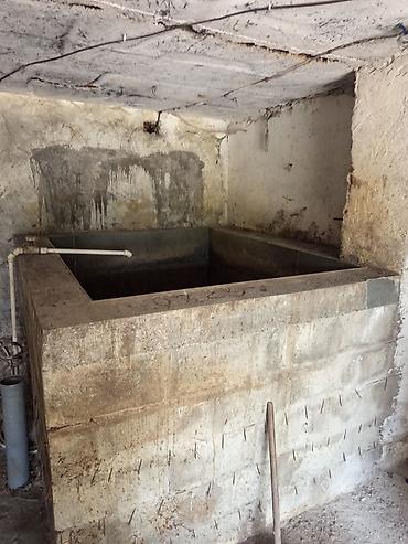 рыбный цех: Готовый бизнес: гараж, переоборудованный под разведение рыбы - — 4