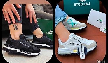lacoste srbija online: Turske lacoste od 36 do 44 za samo 5200 din — 5