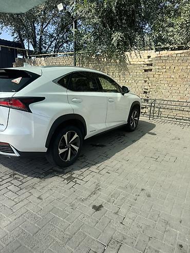 Продажа авто: Lexus NX: 2020 г., 2.5 л, Автомат, Гибрид, Кроссовер — 4