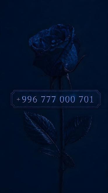 SIM-карты: 👑 Премиальные номера O! Mega | Beeline 🧡 • - 320$ • - 350$ • - — 10