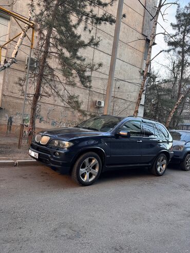 BMW: BMW X5: 2004 г., 4.4 л, Автомат, Бензин, Внедорожник — 10