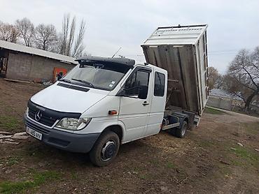 Mercedes-Benz: Mercedes-Benz Спринтер: 2003 г. — 9