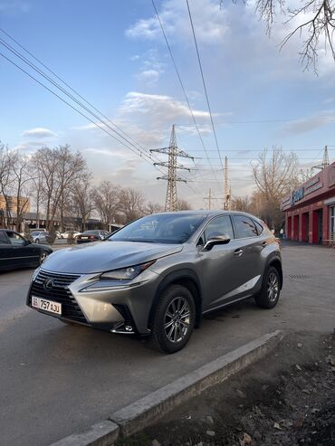 мон блан: Lexus NX: 2019 г., 2 л, Автомат, Бензин, Кроссовер