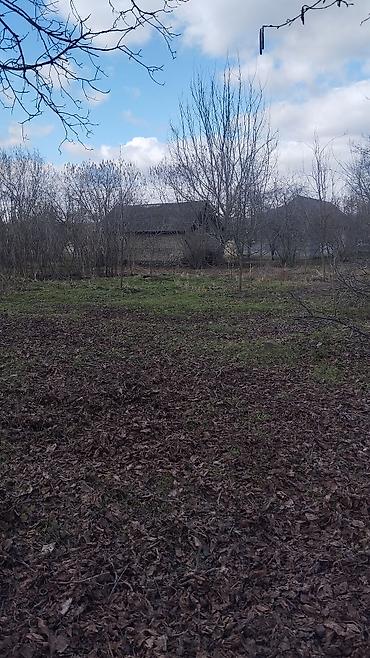 Torpaq sahələrinin satışı: 10 sot, Tikinti, Maklerlər narahat etməsin, Kupça (Çıxarış) — 4