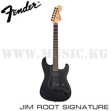 примочка для электрогитары: Электрогитара Fender Jim Root Stratocaster Signature Результатом