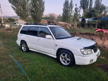 доп бак: Subaru Forester: 2000 г., 0.2 л, Автомат, Бензин, Кроссовер