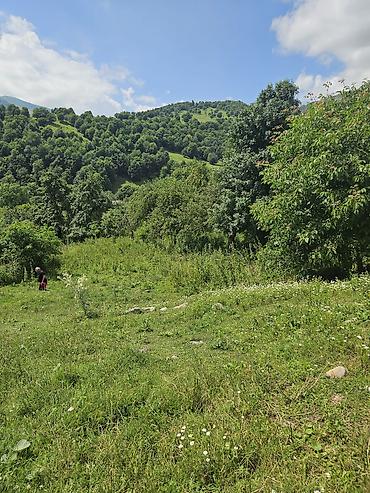 dağ: 25 sot, Tikinti — 9
