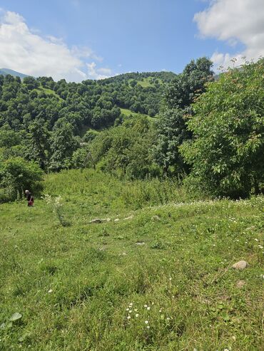 Torpaq sahələrinin satışı: Satış: Dağ mənzərəli torpaq sahəsi - Yaşıllıqla əhatəli, sakit təbiət — 8