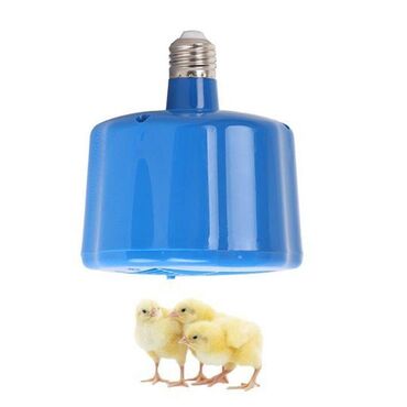 термостат для инкубатора: Обогреватель для животных и птиц Освещение (Led) мощность: 1 Вт