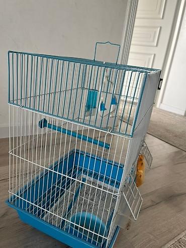 продам кента: Клетка для птиц с синим поддоном и белыми прутьями. Внутри установлена — 2
