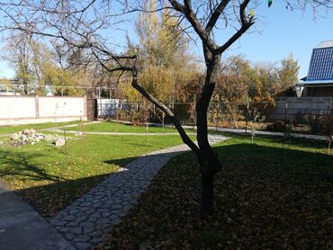 Дизайн, проектирование: Сеем газоны Установка автополива Установка капельного полива Услуги — 3