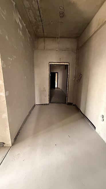 толстого: 2 комнаты, 67 м², Азия Молл Элитка, 7 этаж, ПСО (под самоотделку) — 9