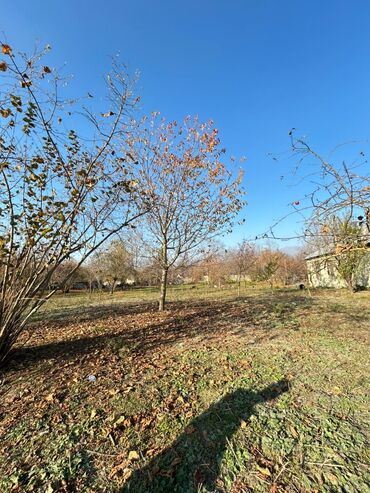 Torpaq sahələrinin satışı: 18 sot, Tikinti, Kupça (Çıxarış) — 1