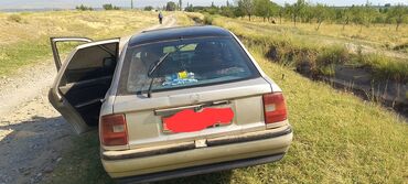 опел vectra: Opel Vectra: 1992 г., 1.6 л, Механика, Бензин, Кабриолет