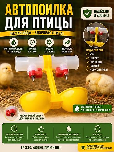 прикол курочки: Ниипельный поилка для кур Двойной ниппель Тоокторго автоматический — 1