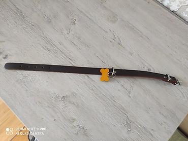 it ucun tasma: Endirim edilir Məhsul: İt üçün dəridən yaxalıq. - Material: qalın — 3