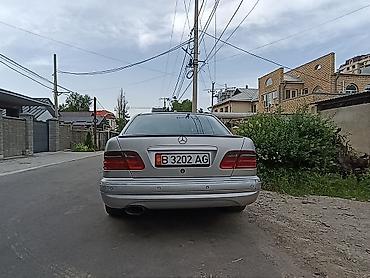 Mercedes-Benz: Mercedes-Benz E-Class: 1998 г., Седан — 3