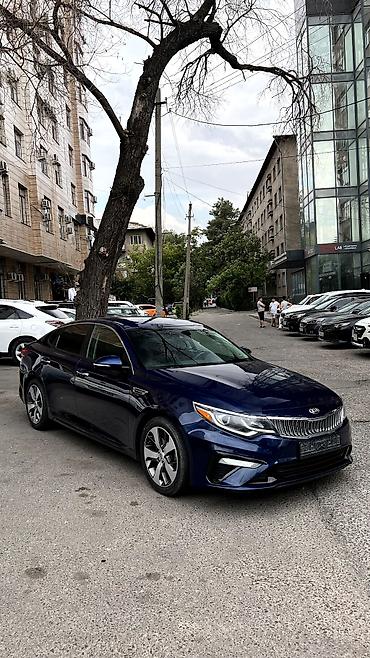 кия оптима: Kia Optima: 2019 г., 2.4 л, Автомат, Бензин, Седан — 1