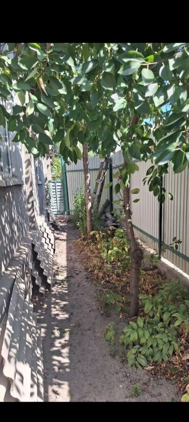 дом без хозяена: 59 м², 3 комнаты, Парковка, Забор, огорожен