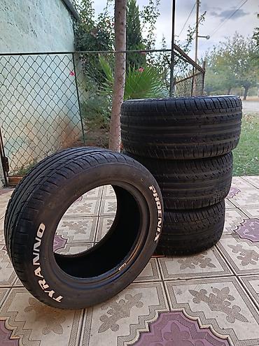 prado disk teker: Formula ideal veziyyetde eri sişka ola bilmez — 2