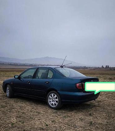 pes 2013: Nissan Primera: 2000 г., 2 л, Механика, Бензин, Седан — 4