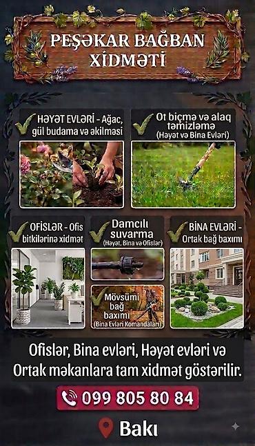 Peşəkar bağban xidməti Təklif olunan işlər: - Həyət evləri üçün ağac