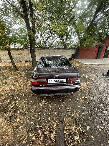 Toyota: Toyota Carina E: 1993 г., 2 л, Автомат, Бензин, Седан — 3
