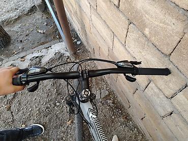 26 velosiped satisi: Hər bir şeyi isdiyir — 1
