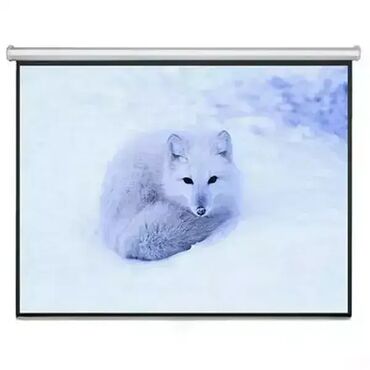 fen sa nastavkom za lokne: Brand: Vision |x|x Model: Platno zidno Vision 150x150 |x|x Price: 6080