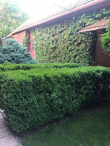 Продажа коттеджей и домов: Продаётся уютный 2-этажный дом мансардного типа в тихом и зелёном — 4