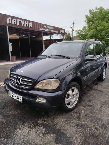 машина mercedes: Mercedes-Benz ML 270: 2002 г., 2.7 л, Автомат, Дизель, Внедорожник