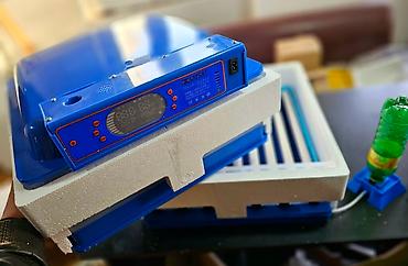 inkubator cucesi: Çin, Fabrik istehsalı, Tam avtomat, Bütün növ quşlar üçün — 6