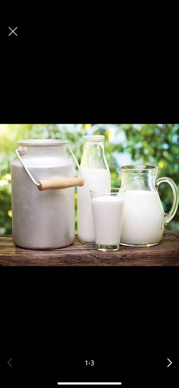 молочные оборудование: Продаю молоко хорошего качества жирность 4.5 и больше цена договорная