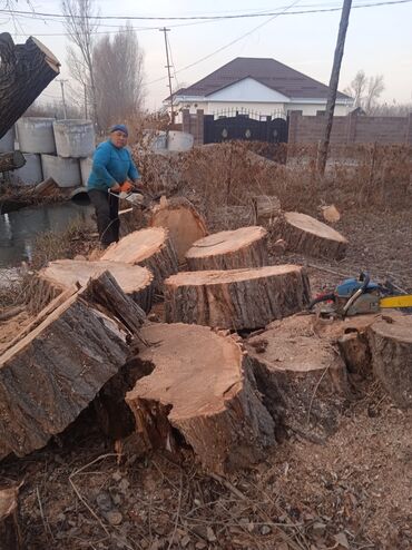 Спил деревьев, заготовка дров: Спил дерева любой сложностипилщик#1по городу и в регионах. Колим