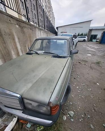 Mercedes-Benz: Mercedes-Benz W123: 1979 г. — 10