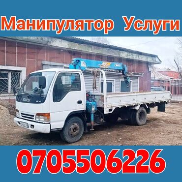 Манипуляторы: Манипулятор