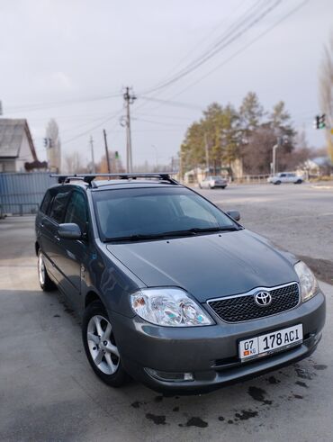 Toyota: Toyota Corolla: 2002 г., 1.6 л, Механика, Бензин, Универсал