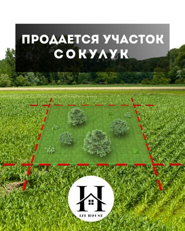 куплю дом рабочий городок: 🏡 Продаётся участок в Сокулуке ✅ Площадь участка: 2,5 га ✅ Орошаемый