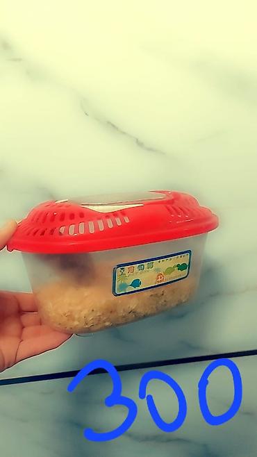 Зоотовары: Клетки очень дешево. распродаю остатки. цены от 500 до 1200 сом — 4